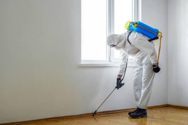 Best Insect Control  in South Jacksonvle, IL