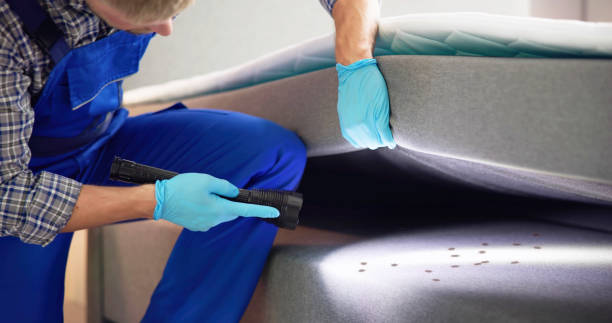 Best Affordable Pest Control Services  in South Jacksonvle, IL