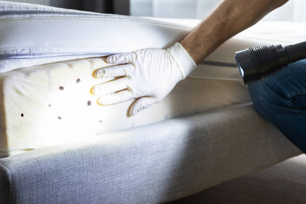 Best Pest Control Cost  in South Jacksonvle, IL