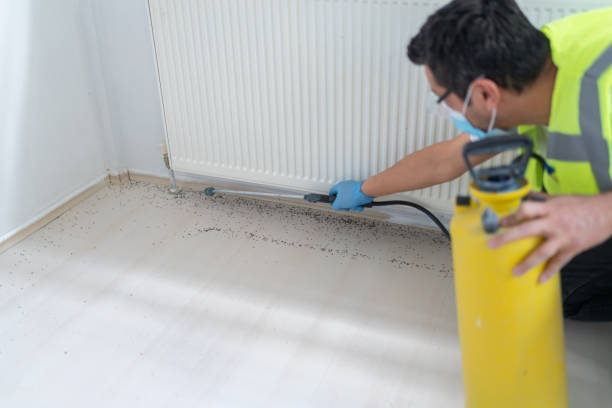 Best Mosquito Control Services  in South Jacksonvle, IL