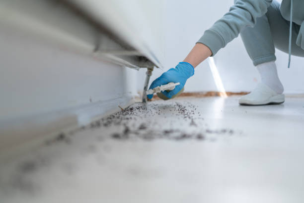 Best Bed Bug Extermination  in South Jacksonvle, IL