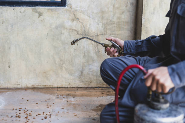 Best Pest Removal Services  in South Jacksonvle, IL