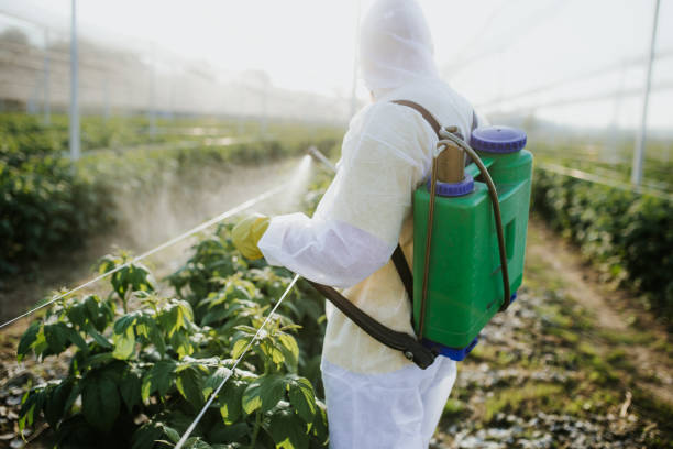 Best Affordable Pest Control Services  in South Jacksonvle, IL